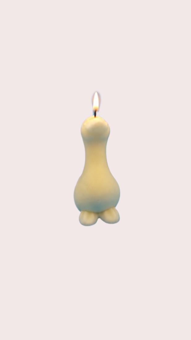 A Duck