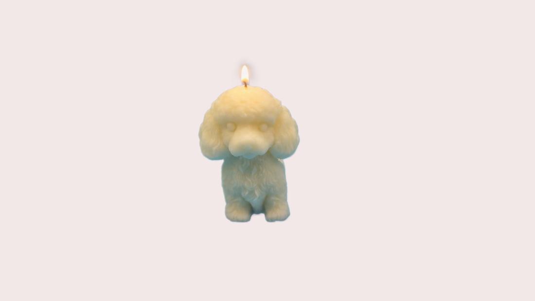 Poodle Dog