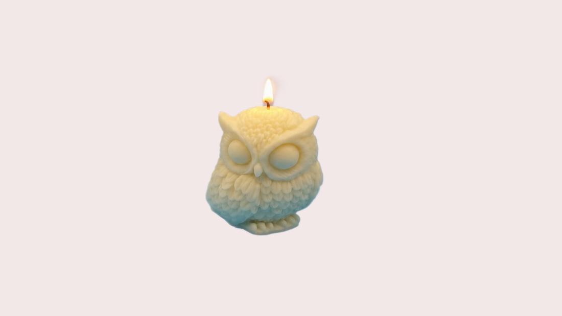 Wise Owl