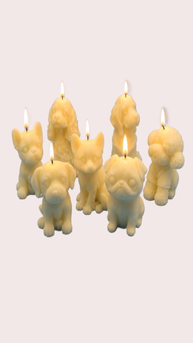 7-Dog Pack