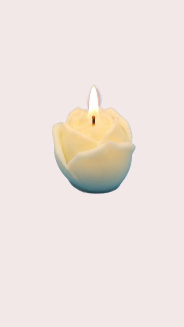 Bouton De Rose Fermé