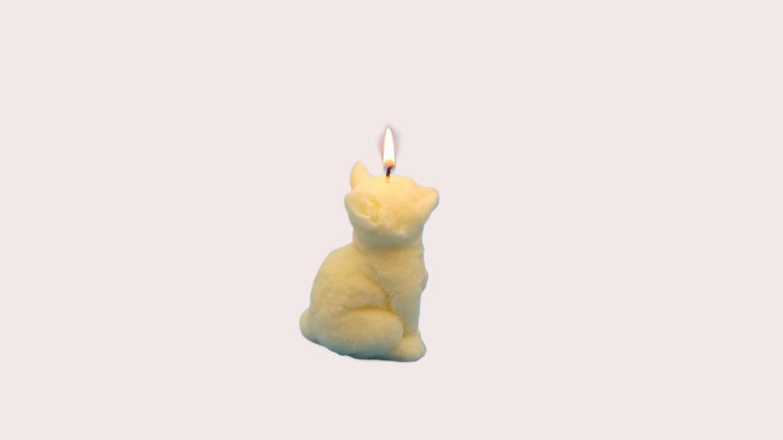 Chat Adulte