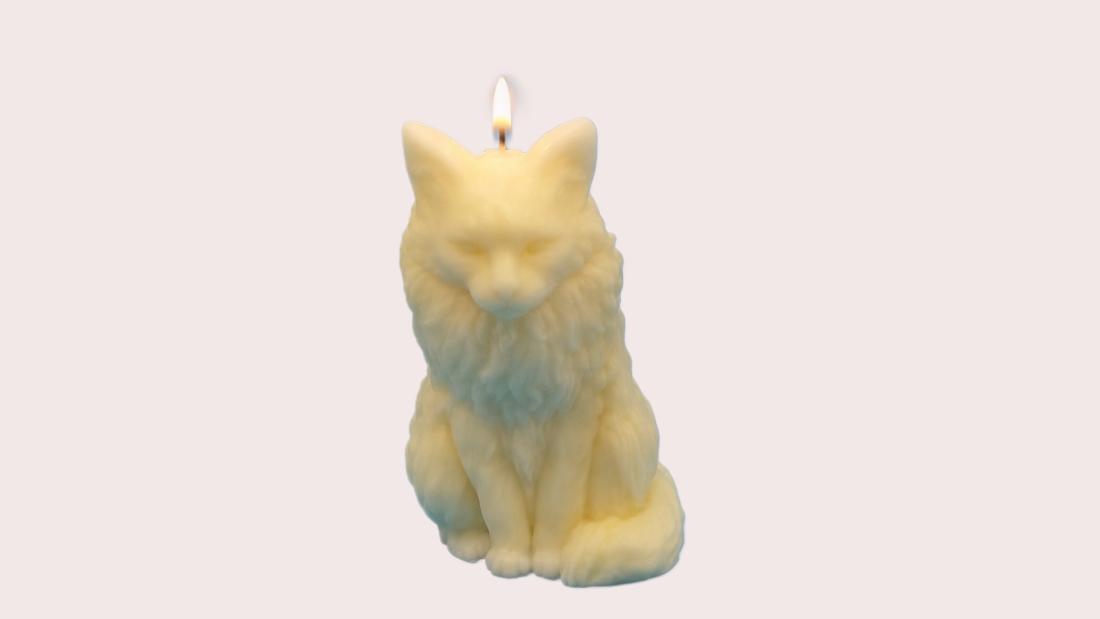 Chat Angora
