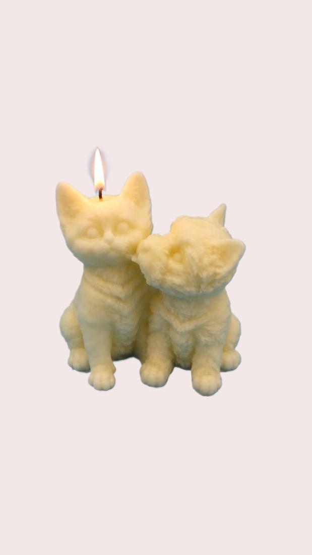 Chien Et Chat