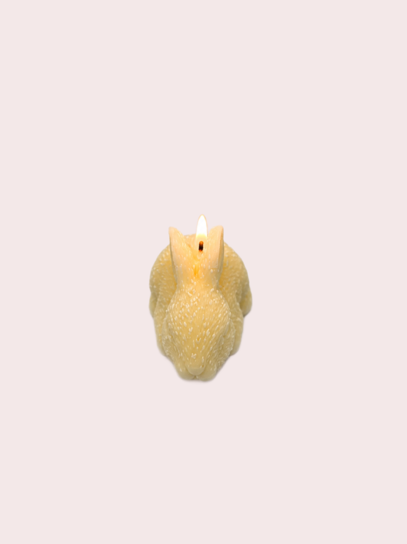 Lièvre A L'Affût