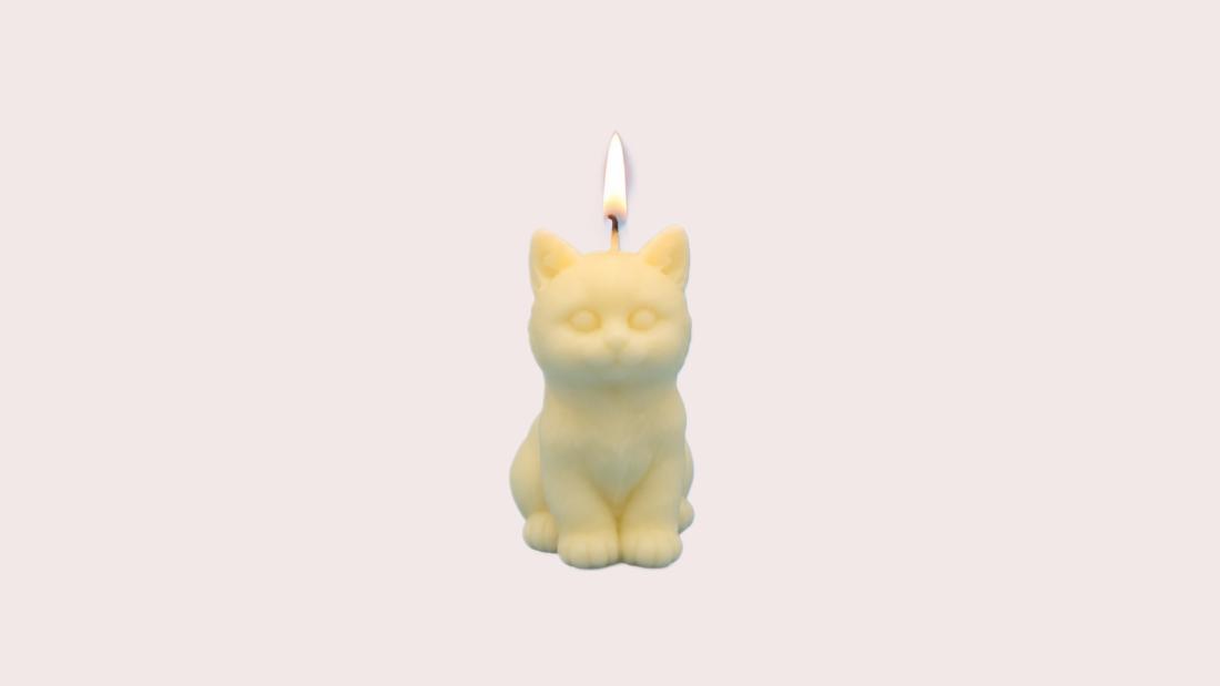 Petit Chat