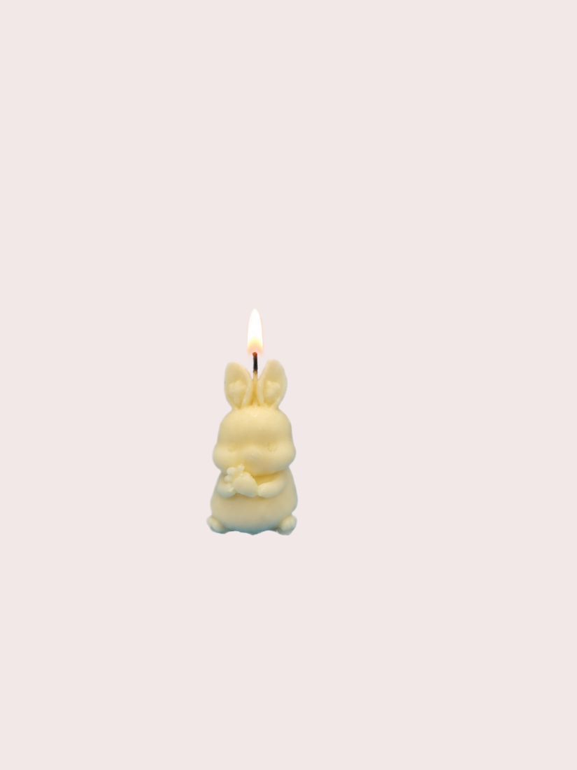 Petit Lapin